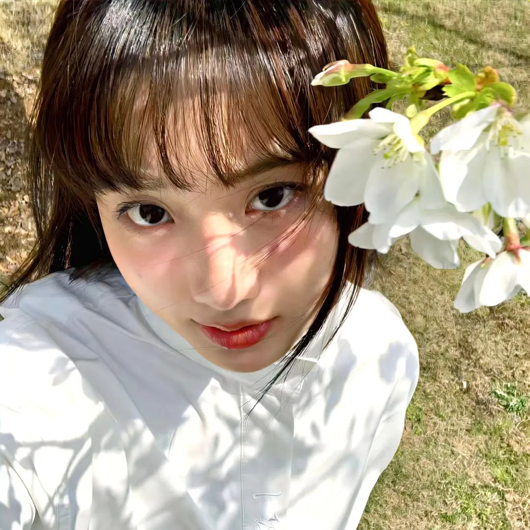 彩凤笙歌